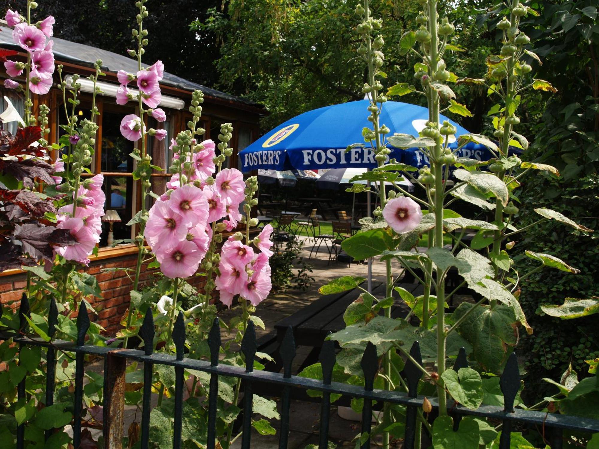 The Olde Windmill Inn Great Cressingham Εξωτερικό φωτογραφία
