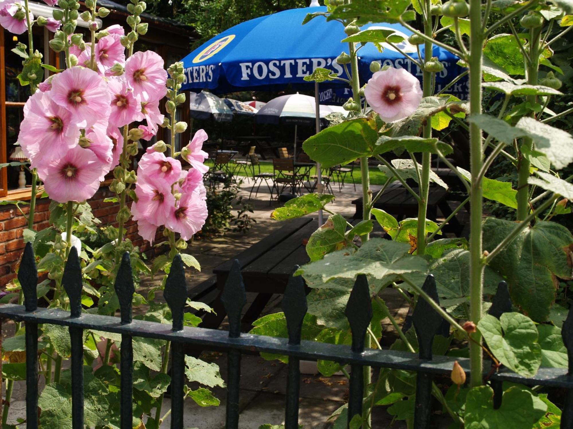 The Olde Windmill Inn Great Cressingham Εξωτερικό φωτογραφία